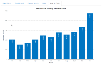 Creditor reports and monthly expenses reports